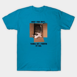 Funny Little Cat in a Box T-Shirt